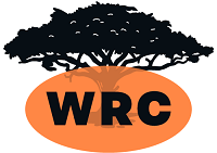 W Rebuild Center | Automotive Specialist